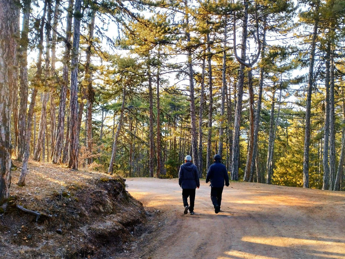 Can Spending Time in Nature Help You Feel More Rested?